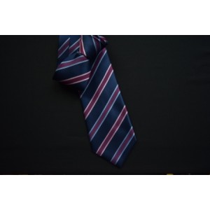 Blue with Pink/Purple Stripe Tie